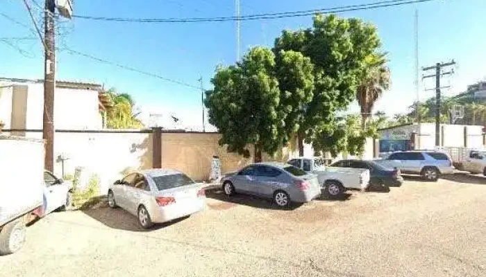 Habitat Consultoria Ambiental Y Proyectos Comentariosdeg - Topolobampo