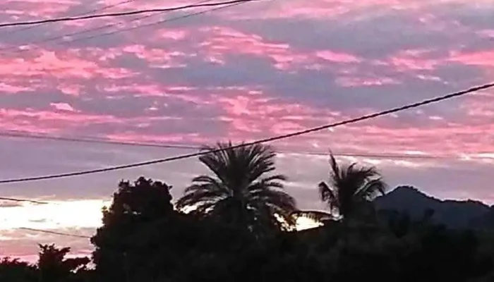 Higuera de los Vega - Higuera De Los Vega