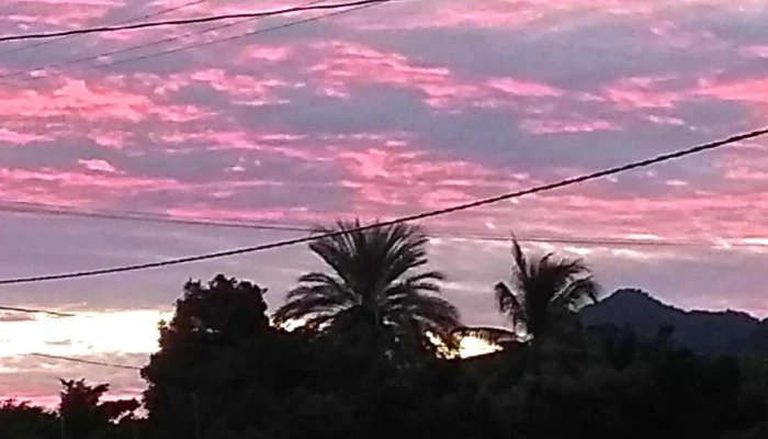 Higuera De Los Vega -  Promocion - Higuera de los Vega
