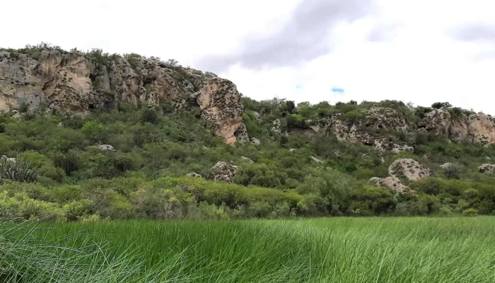 Humedal De Yagul -  Descuentos - Tlacolula de Matamoros
