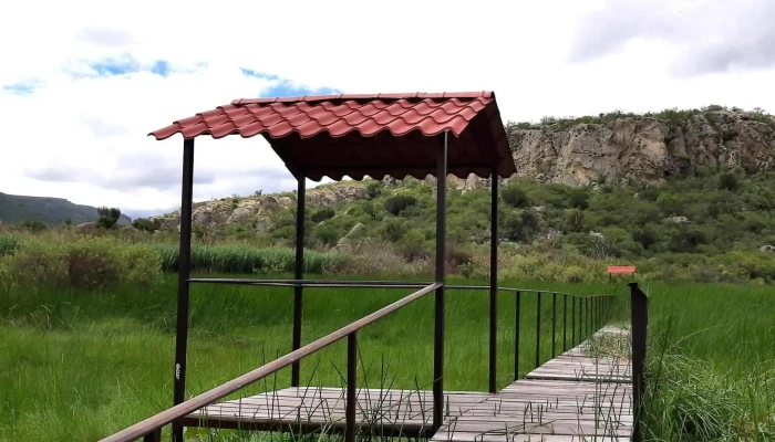 Humedal De Yagul -  Telefono - Tlacolula de Matamoros