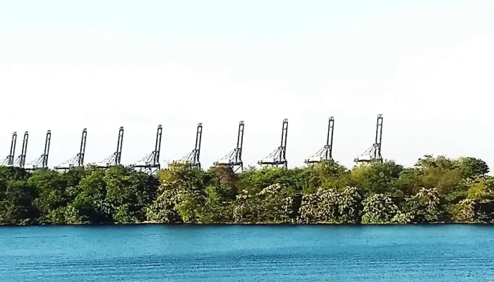 Hutchison Ports Lct -  Telefono - Cdad. Lázaro Cárdenas