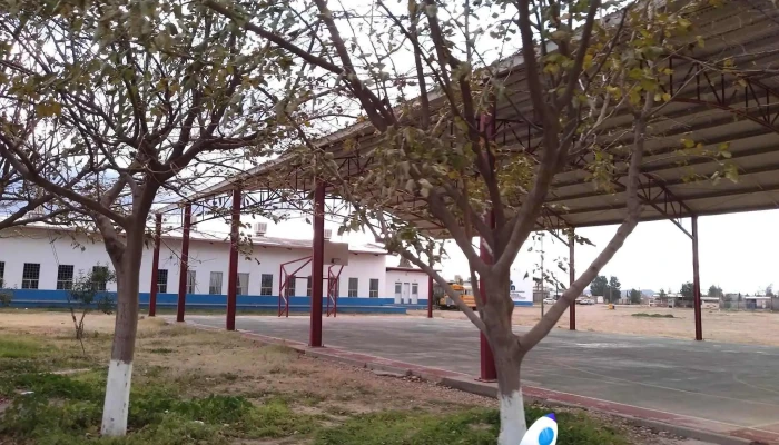 Icatech Nuevo Casas Grandes -  Como Llegar - Nuevo Casas Grandes