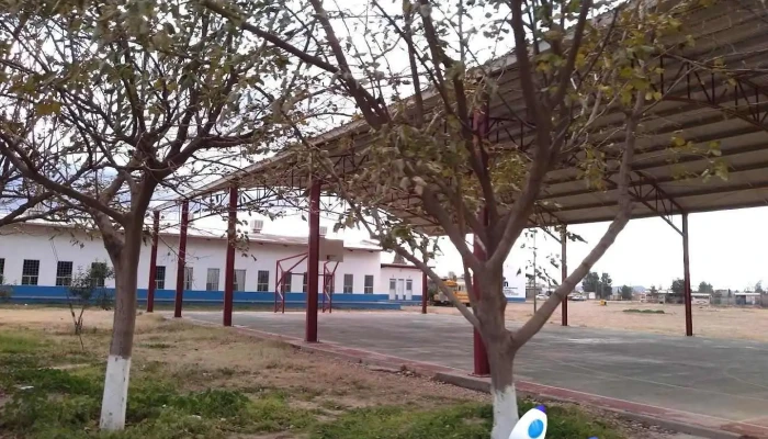 Icatech Nuevo Casas Grandes - Nuevo Casas Grandes