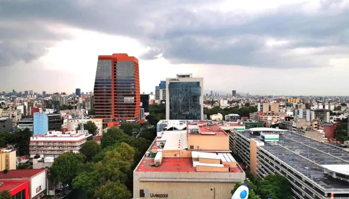 Ids Comercial, S.a. de C.v. - Benito Juárez, Ciudad De México