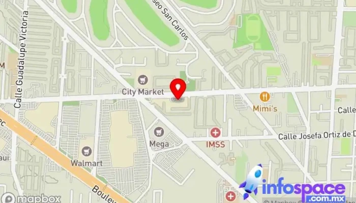 mapa de Ingenii Data Consultora informática en Metepec