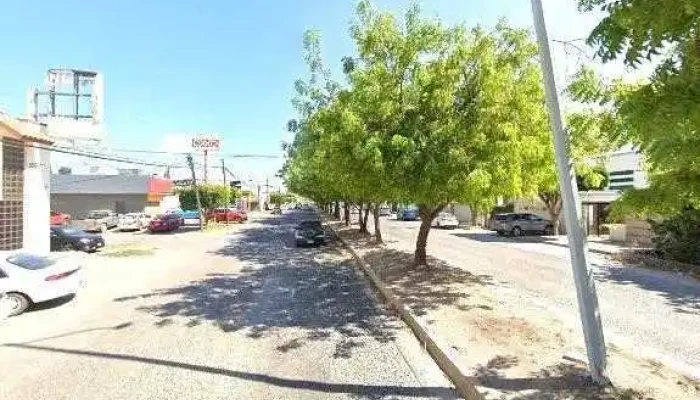 Instituto De Atencion Psicologica Integral Y Consultoria Preciosdeg - Los Mochis