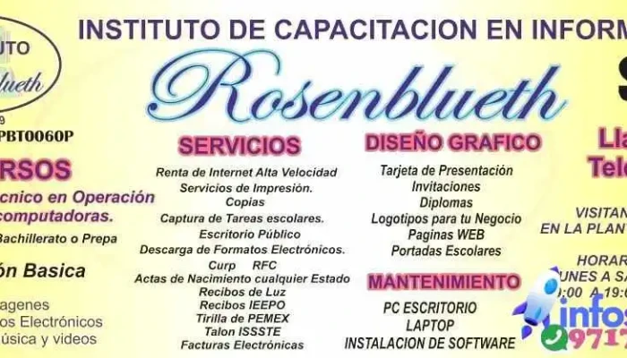 Instituto De Capacitacion En Informatica Rosenblueth Direccion - Santo Domingo Tehuantepec