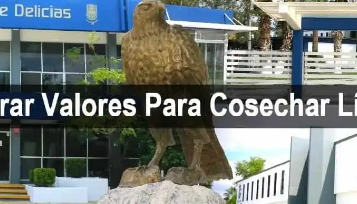 Instituto Tecnologico De Delicias Del Propietario - Delicias