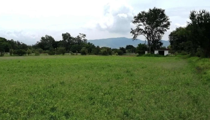 Instituto Tecnologico Del Valle De Oaxaca Opiniones - Santa Cruz Xoxocotlán