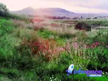 Jalpa de los Baños - Jalpa De Los Baños