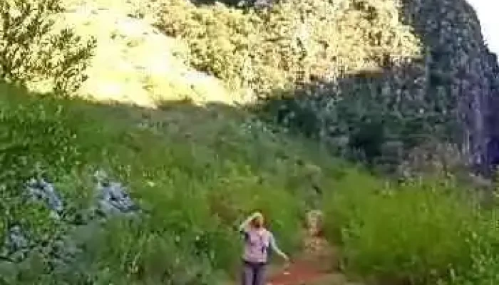La Casa De Mi Abuelita -  Videos - Santiago Apoala