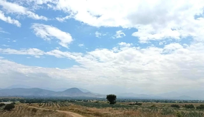 La Guadalupe -  Comentarios - Oaxaca de Juárez