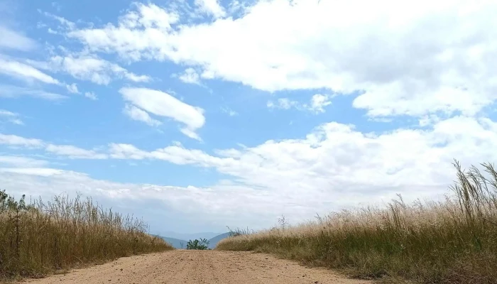 La Guadalupe - Oaxaca De Juárez