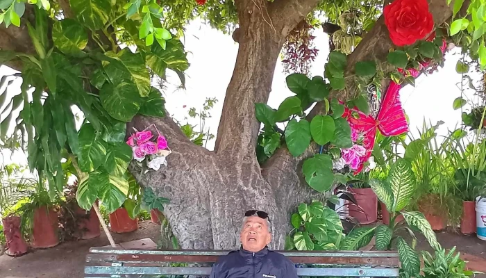 La Noria Sinaloa -  Cerca De Mi - La Noria de San Antonio