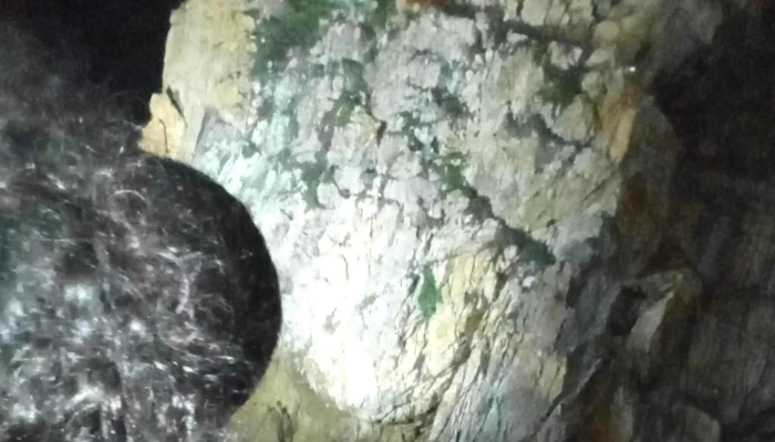 La Quebrada -  Horario - Cuautitlán Izcalli