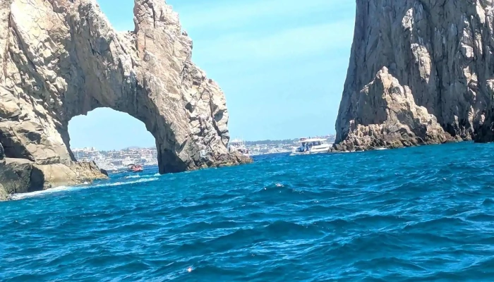 La Terminal De Cabo -  Catalogo - Cabo San Lucas