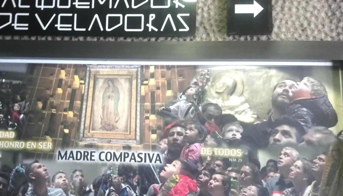 La Villa Y Basilica Fotos - Ciudad de México