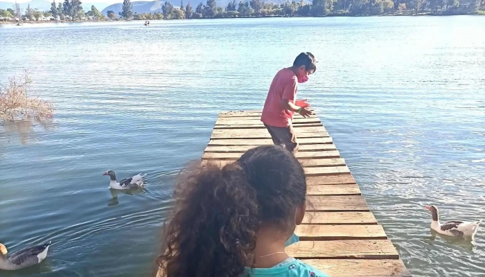 Lineas Unidas Miahuatecos   Serpevass Telefono - Santa Lucía Ocotlán