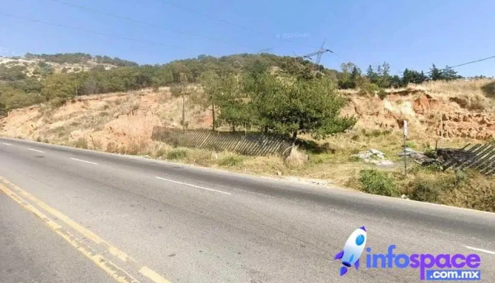 Llano de las Flores - Estado De México
