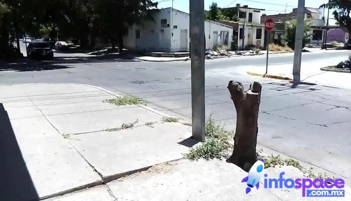 Lo Psicologia Integral Videos - Culiacán Rosales
