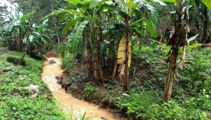 Los Naranjos Esquipulas -  Instagram - San Pedro El Alto