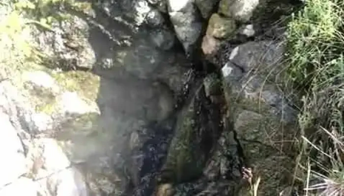 Maguarichi -  Videos - Maguarichi