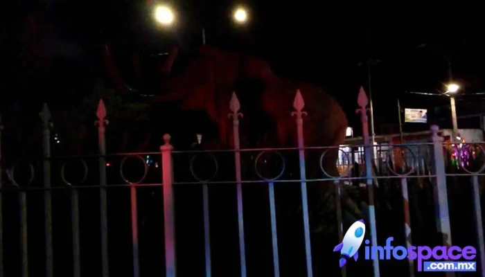 Mamut Santa Isabel Ixtapan -  Videos - Santa Isabel Ixtapan