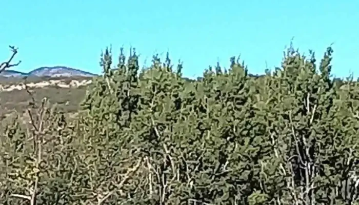 Mariano Balleza -  Montana - Mariano Balleza