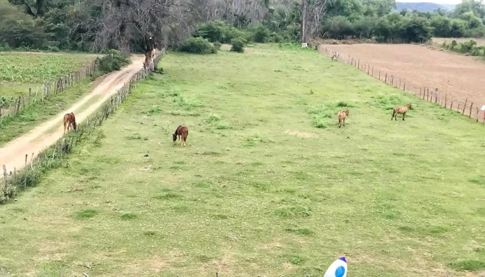Maripa -  Zona - Maripa
