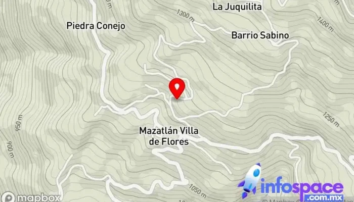 mapa de Mazatlán Villa de Flores  en Oaxaca
