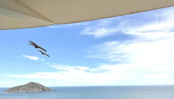 Mazatlan4rent Mazatlan4sale Ubicacion - Mazatlán