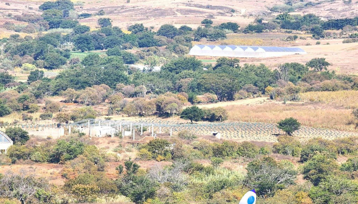 Mendoza Martinez Agricola De Los Visitantes - Santa Marta Chichihualtepec