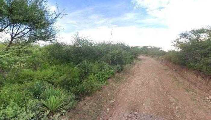 Mendoza Martinez Agricola Puntajedeg - Santa Marta Chichihualtepec