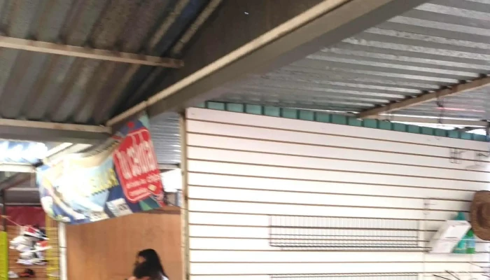 Mercado La Pulga -  Opiniones - Santa María Totoltepec