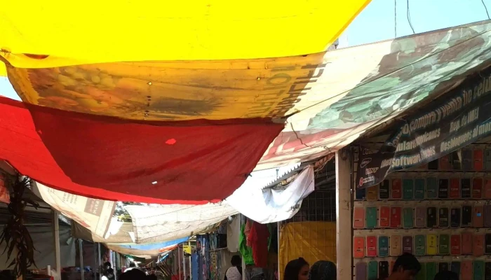 Mercado La Pulga -  Precios - Santa María Totoltepec