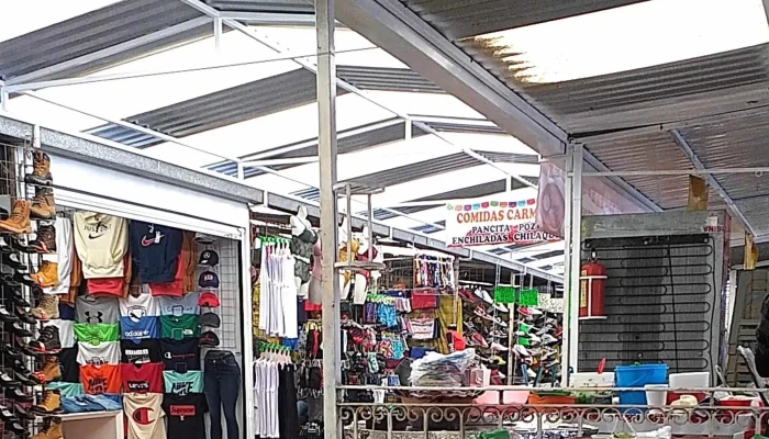 Mercado La Pulga -  Zona - Santa María Totoltepec