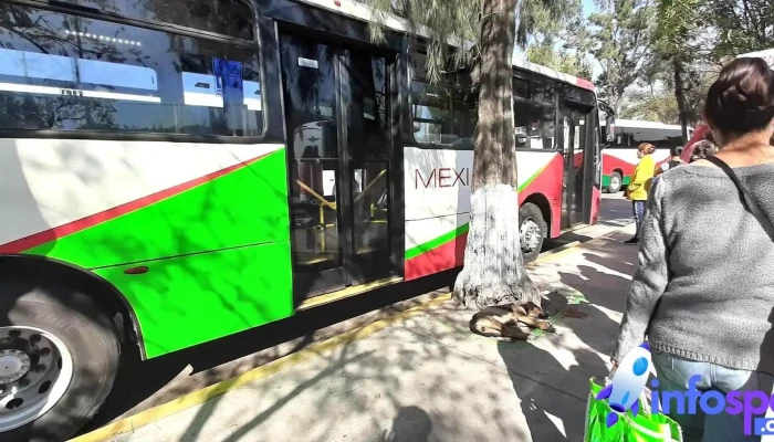 Mexibus Indios Verdes   4 Autobus - Gustavo A. Madero, Ciudad de México