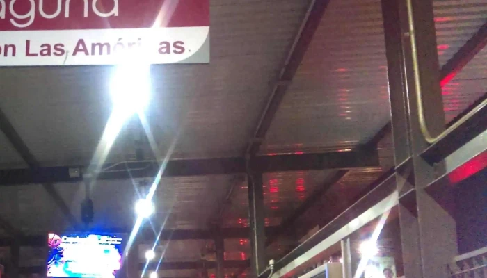 Mexibus L2 La Laguna -  Telefono - San Francisco Coacalco