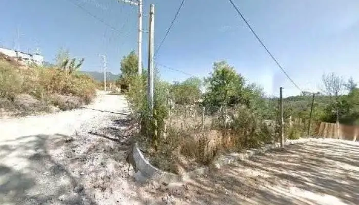 Mexico Organico Asesoria Y Capacitacion Sc Instagram - Oaxaca de Juárez