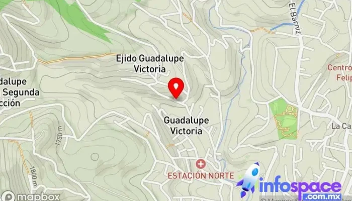 mapa de México Orgánico, Asesoría y Capacitación S.C. Oficinas de empresa en Oaxaca de Juárez