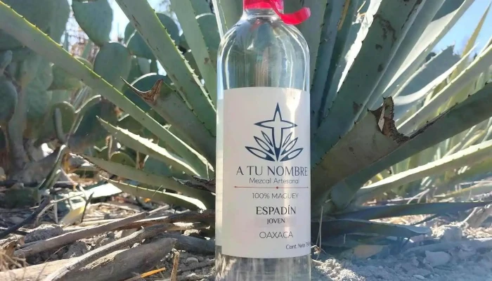 Mezcal A Tu Nombre -  Como Llegar - Santiago Matatlán