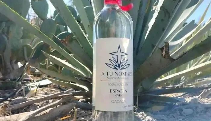 Mezcal A Tu Nombre - Santiago Matatlán