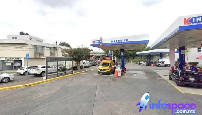 Mezquite - Guadalajara