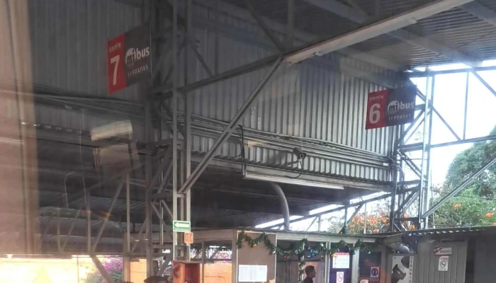 Mi Bus Terminal Centro -  Comentarios - Cuernavaca