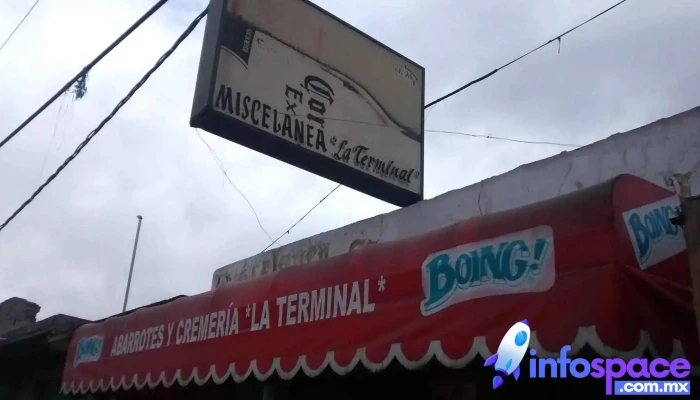Miscelanea La Terminal -  Comentarios - Coatepec