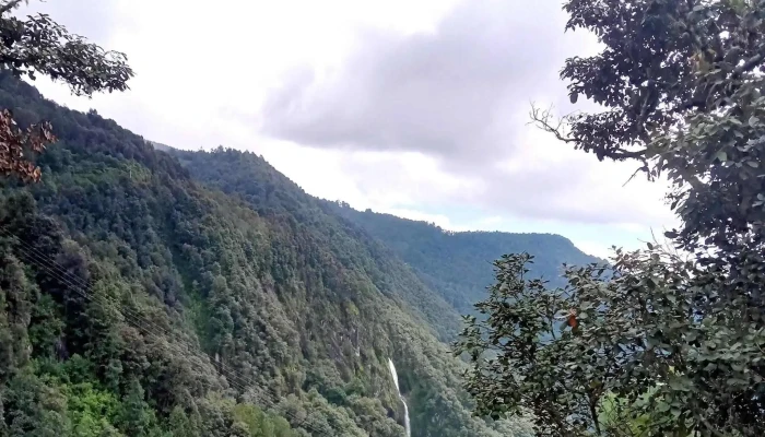Mixistlan De La Reforma Videos - Mixistlán de la Reforma