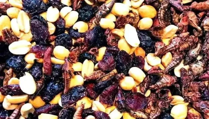 Mole Y Chocolate Rosita - Oaxaca De Juárez