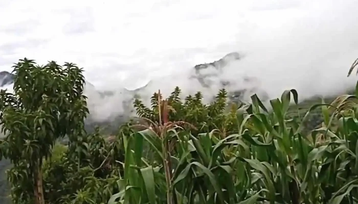 Monteverde -  Videos - San Antonino Monte Verde