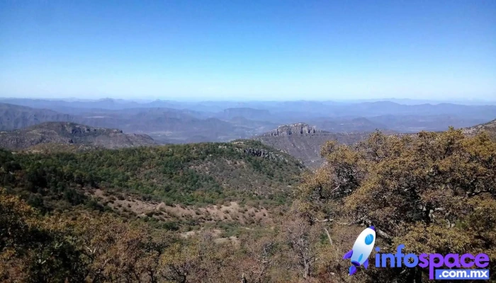 Moris -  Montana - Chihuahua